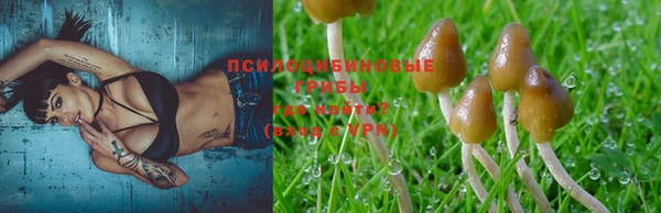 не бодяженный Абаза